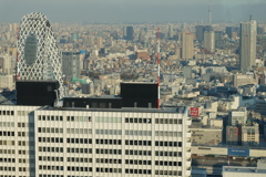 都庁展望台（45Ｆ）から見たスカイツリー＆東京ドーム