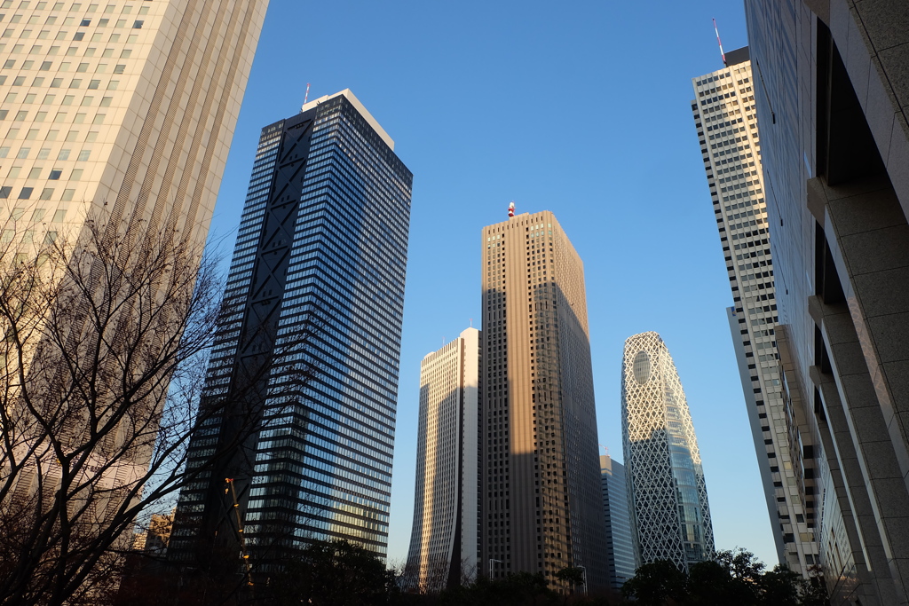 西新宿の高層ビル群