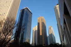 西新宿の高層ビル群