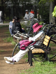 GW　　公園で眠る人