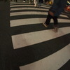 新宿　横断歩道