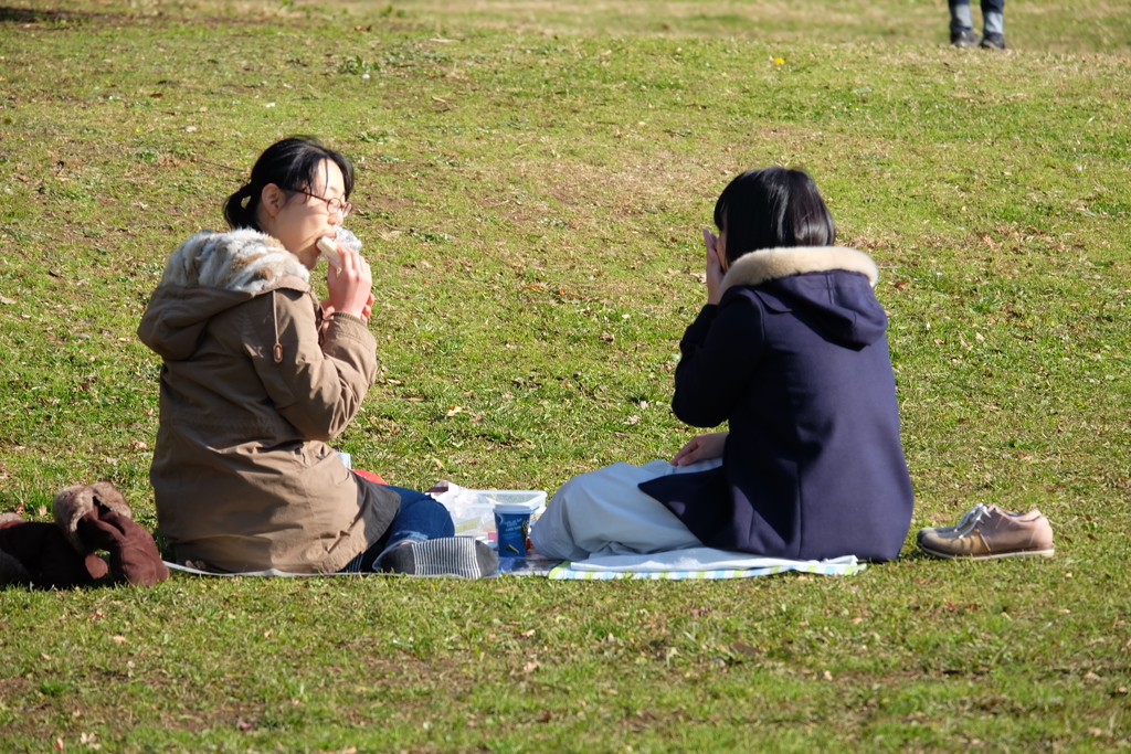 公園の昼下がり