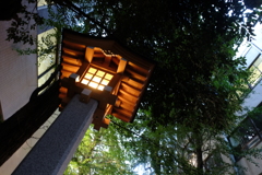新宿花園神社