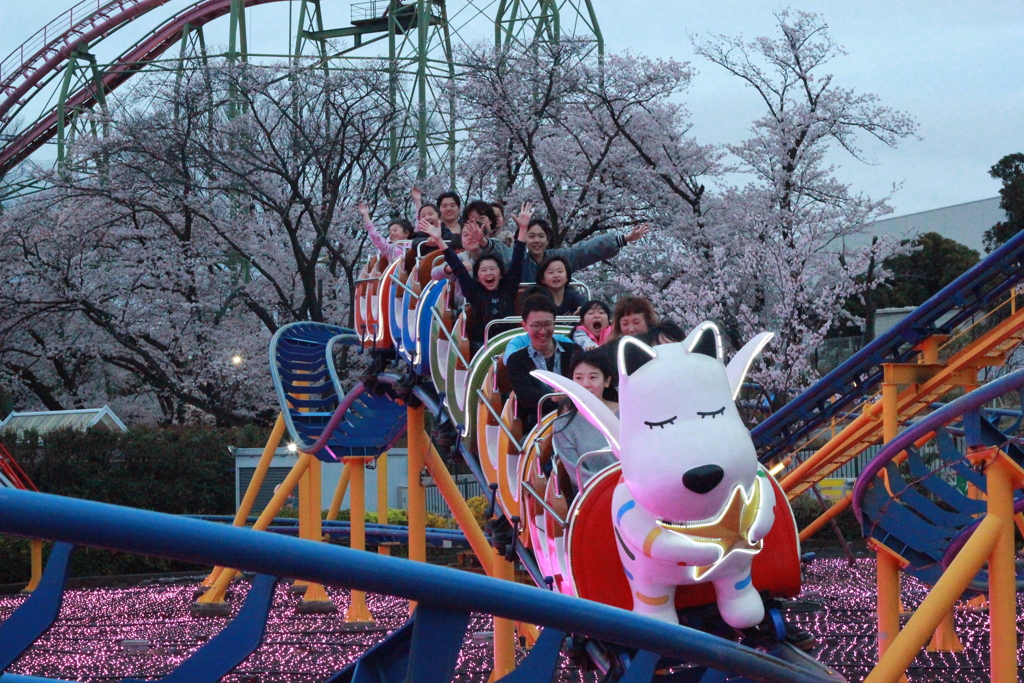 読売ランドのコースター