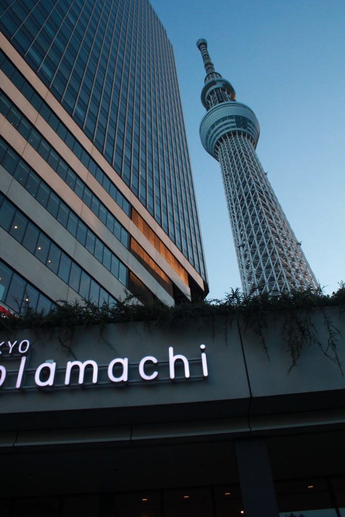 スカイツリー
