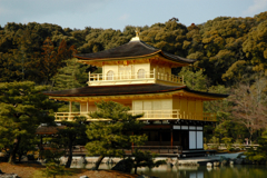 金閣寺