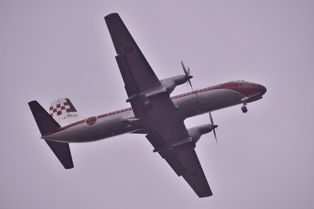 YS-11