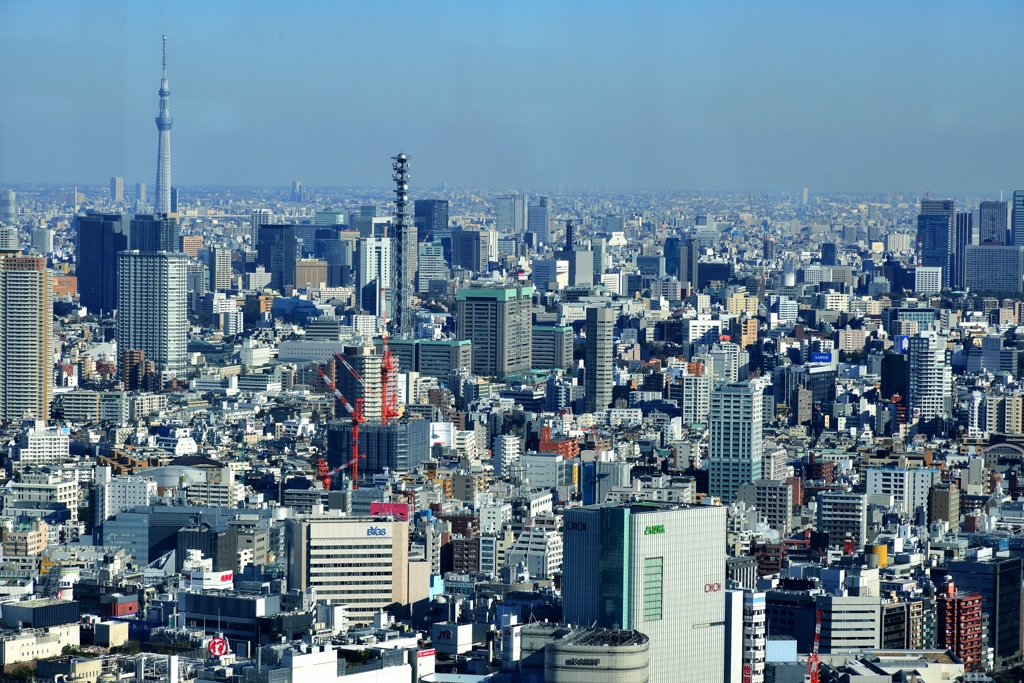 平面から立体へと伸びる世界