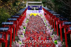 勝浦　ひな祭り