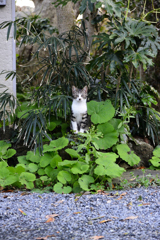 おかえり
