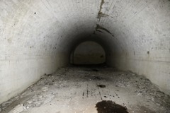 白い暗闇