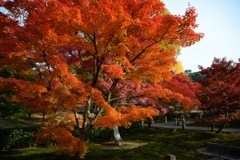 ２０１３年秋の京都