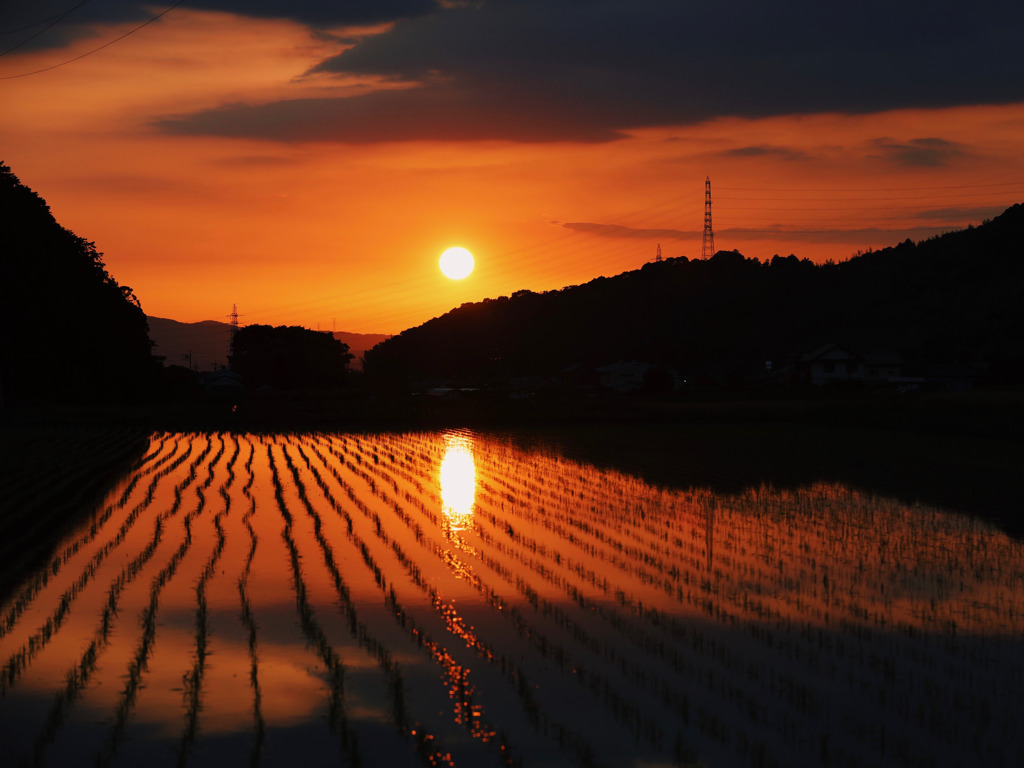 夕陽の風景