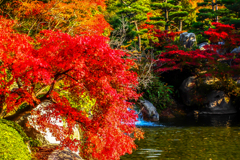 IMGP-風景-080619