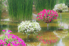 風景：3