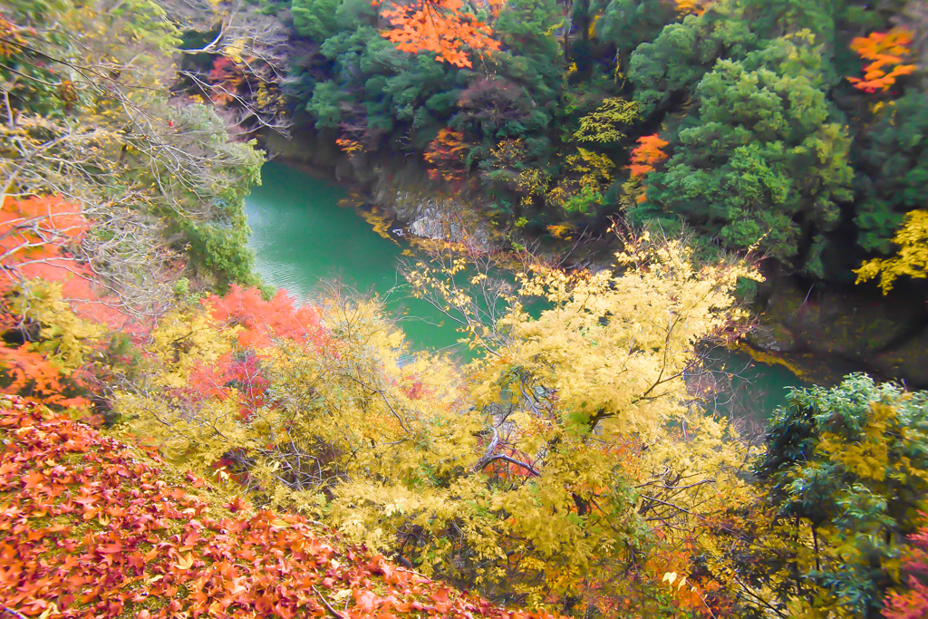 愛知川峡谷3