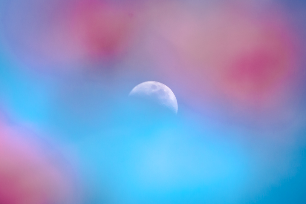 梅花と月