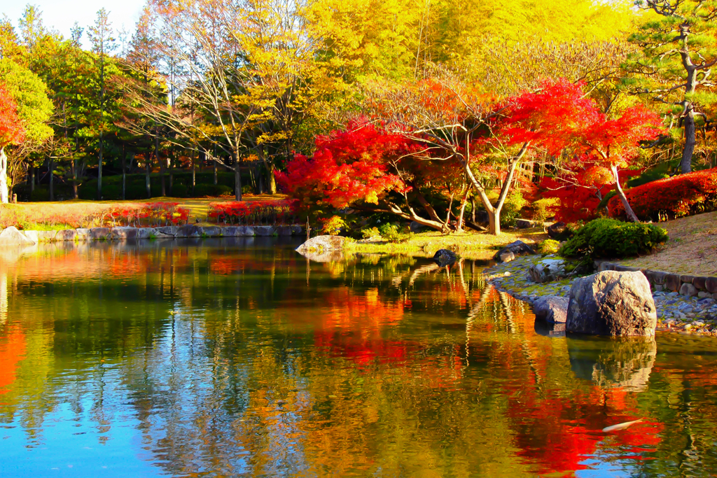 秋の池：1