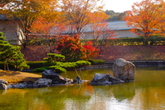 IMGP-風景-080618