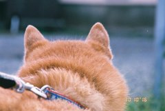 IMG_0856