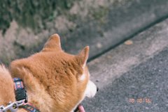IMG_0850