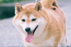IMG_0840