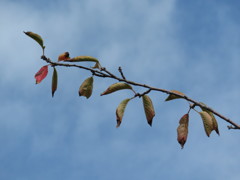 IMG_2738