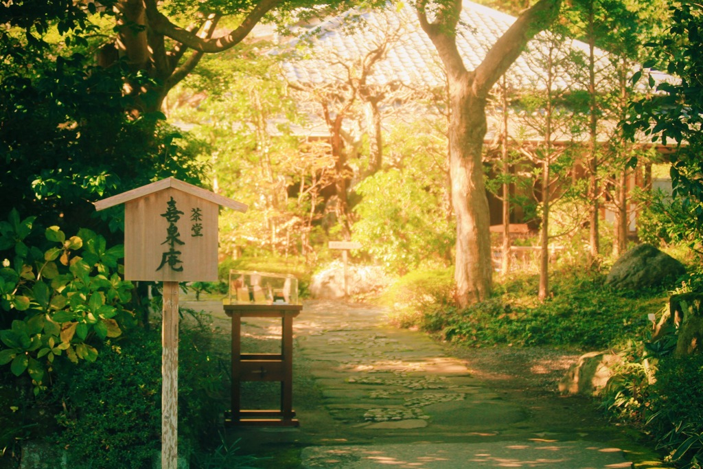 茶処〜円覚寺〜