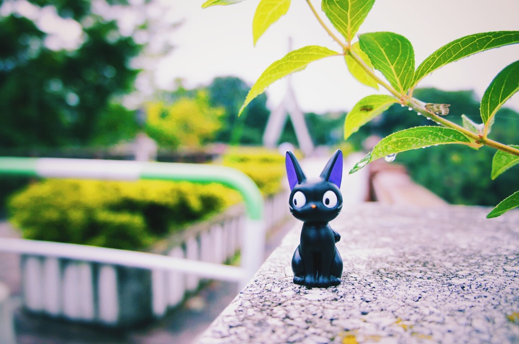 ジジの雨宿り