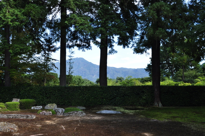 People call it "SHAKKEI"