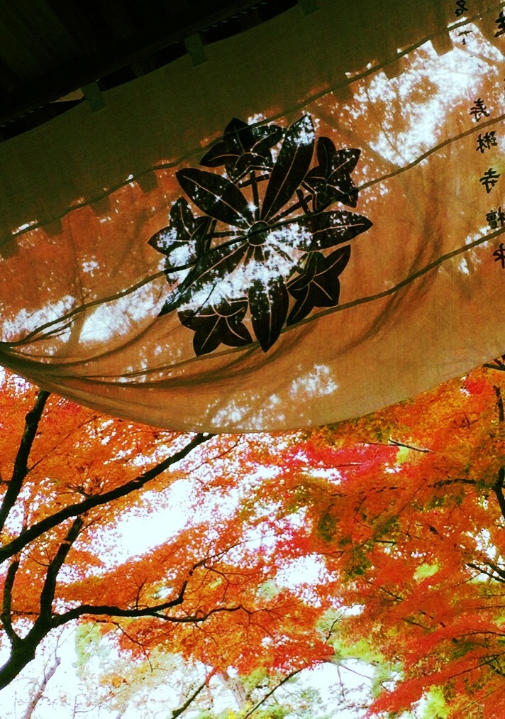 秋・紅葉・永観堂