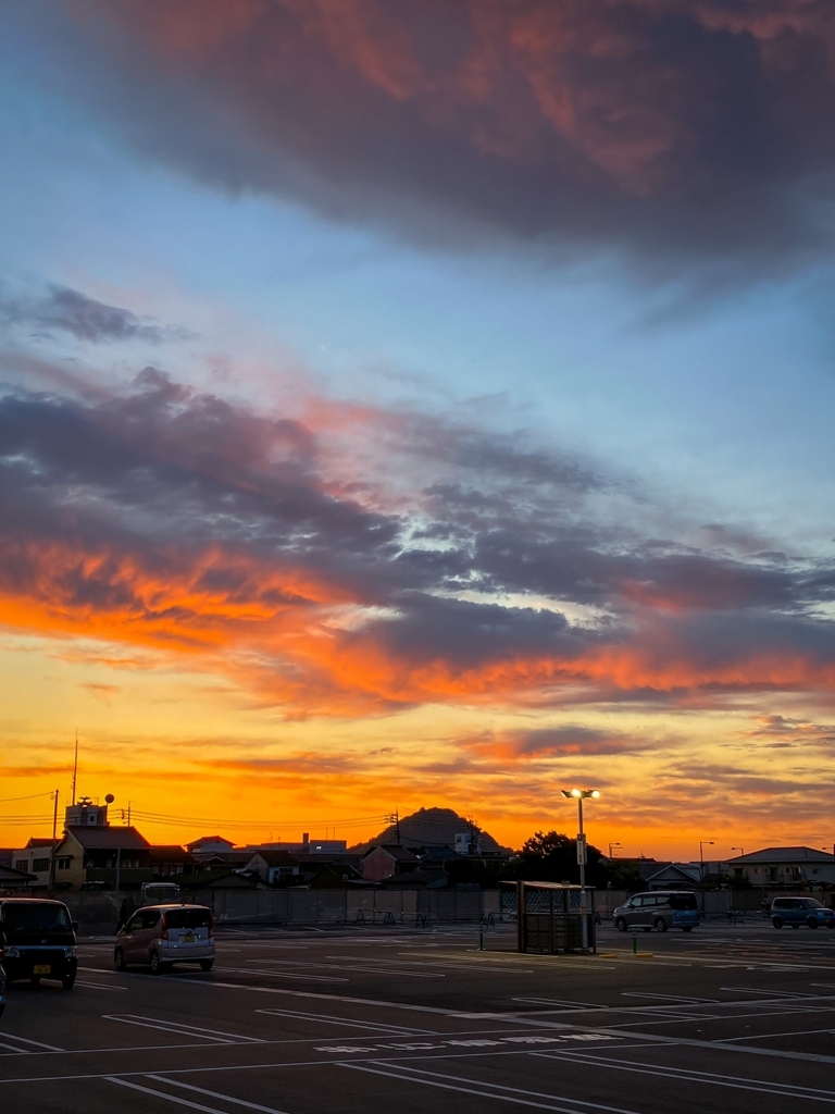 100均店に寄り道