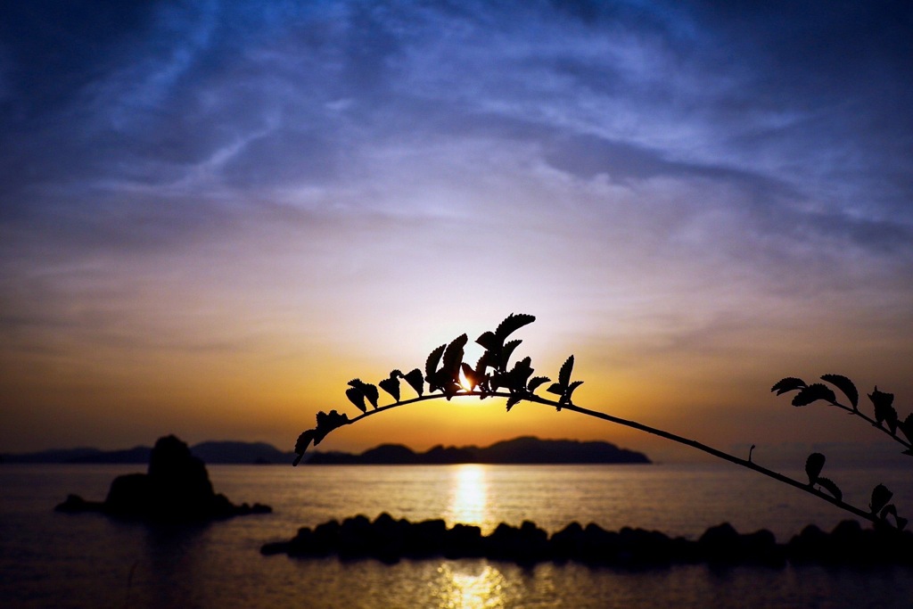 隙間から漏れる光