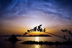 隙間から漏れる光