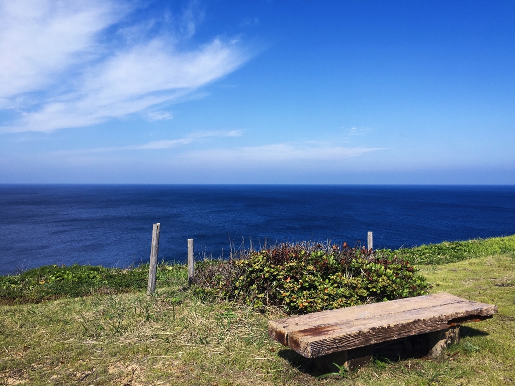 Overlooking the ocean