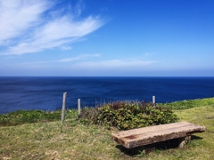 Overlooking the ocean