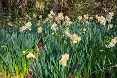 Peakoutはまだまだ.1