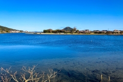 定点撮影：河口付近