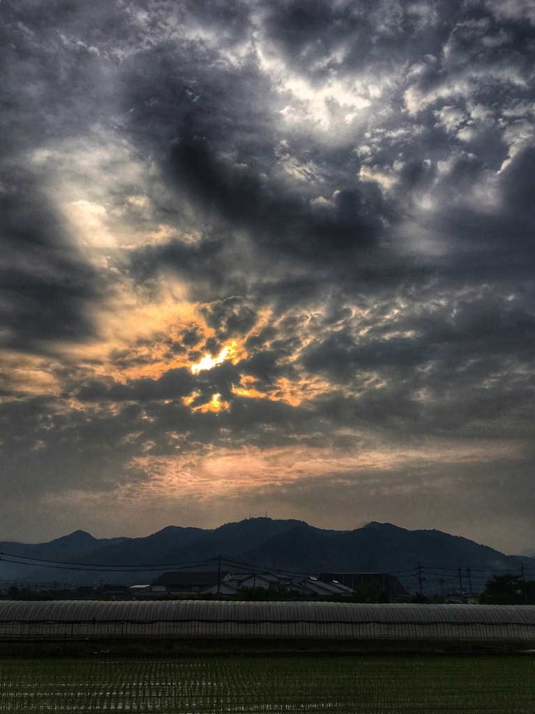 今朝の田んぼ上空