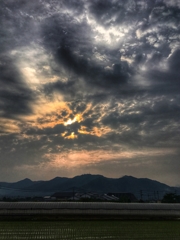 今朝の田んぼ上空