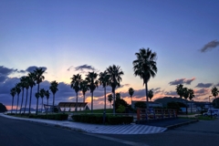 フェニックスのシルエット