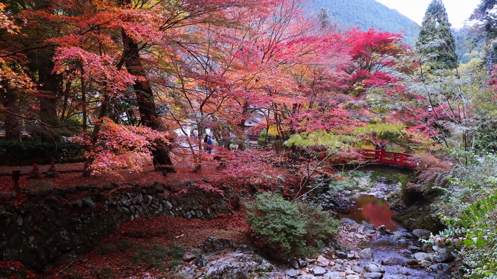 伴溪橋の見える風景