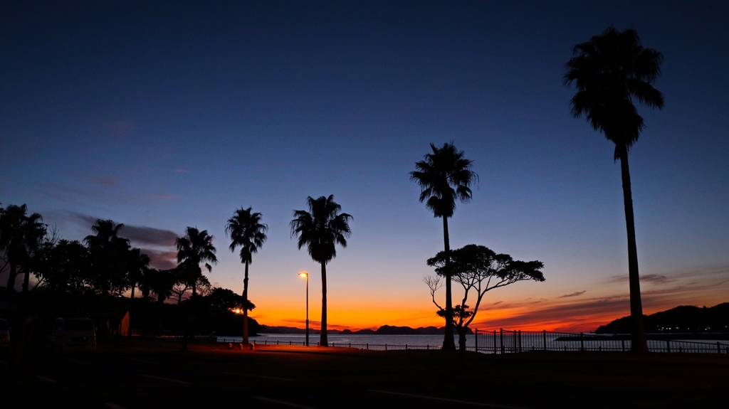 夜の帳が降りる頃