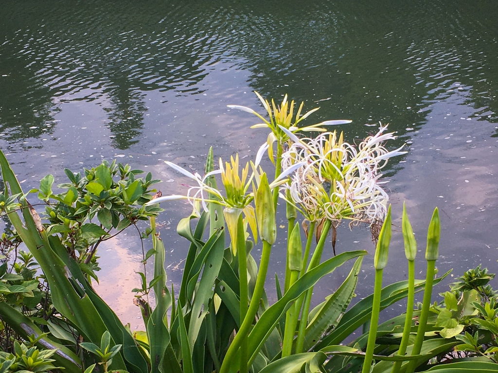 たまには夕景以外のものを！