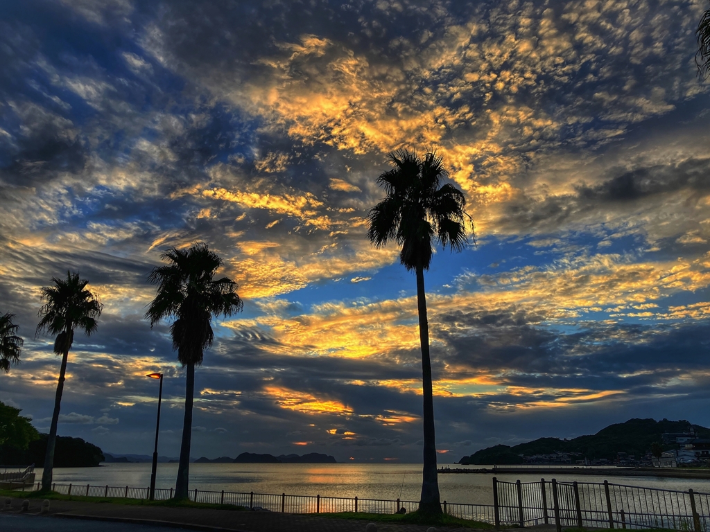 仕事帰りの寄り道.3