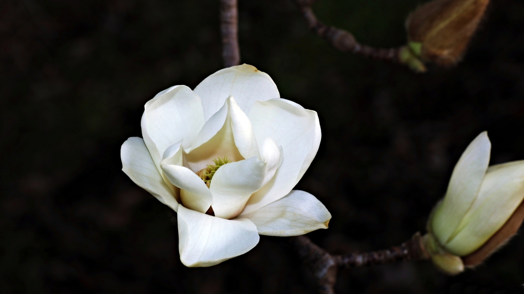 今日の3枚その2