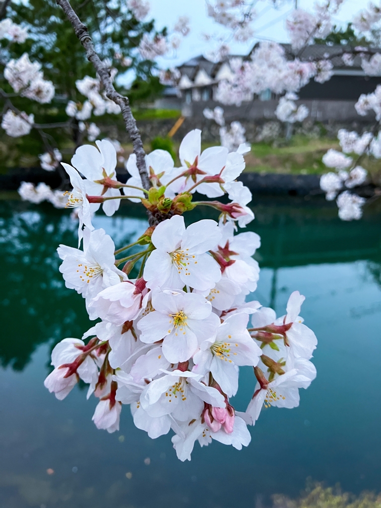 帰宅前の寄り道.2