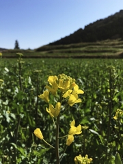 間に合うかなぁ～！