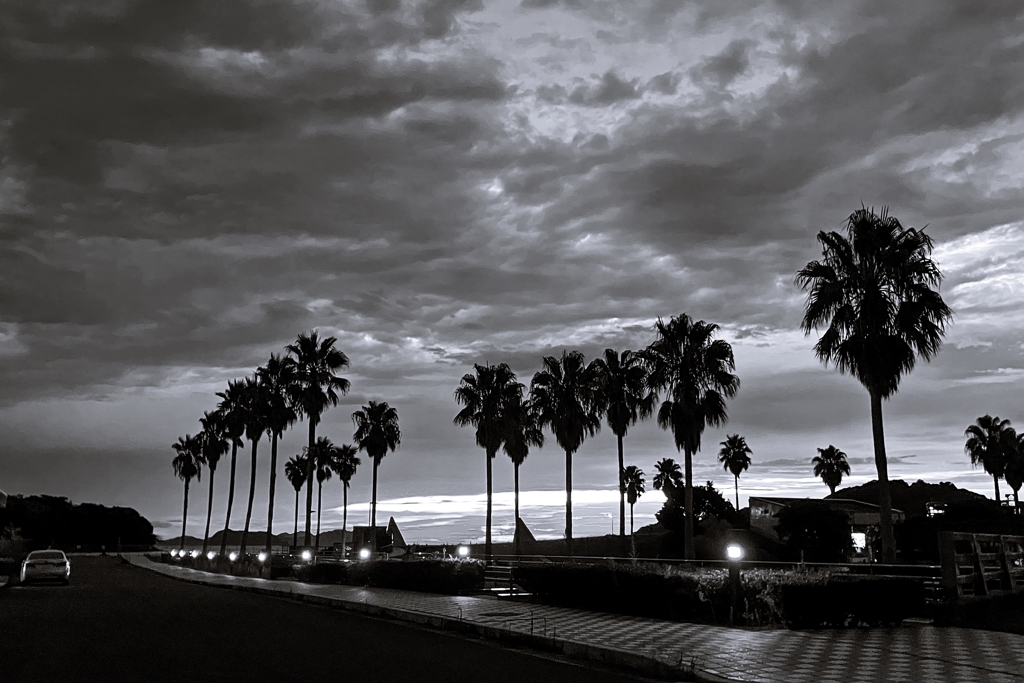 Monochrome