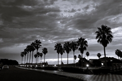 Monochrome